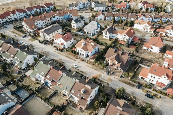 Comment intégrer des plantes d'intérieur à votre décoration de Noël